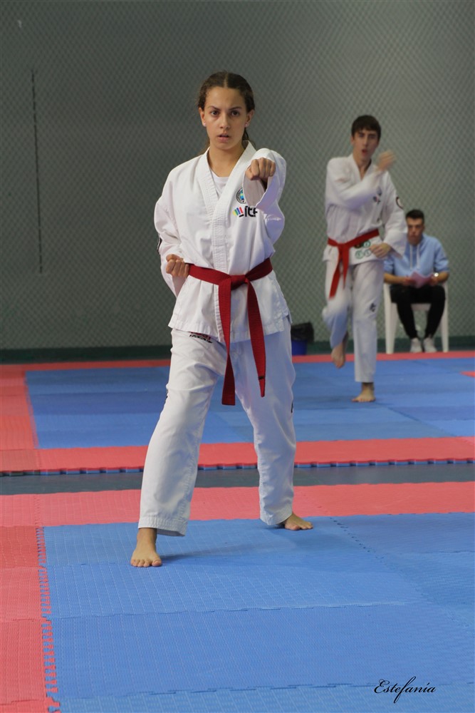 Copa Seul 2018 (412).jpg